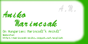 aniko marincsak business card